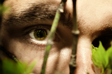 Green eyes of a young man