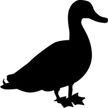 Real Duck Silhouette