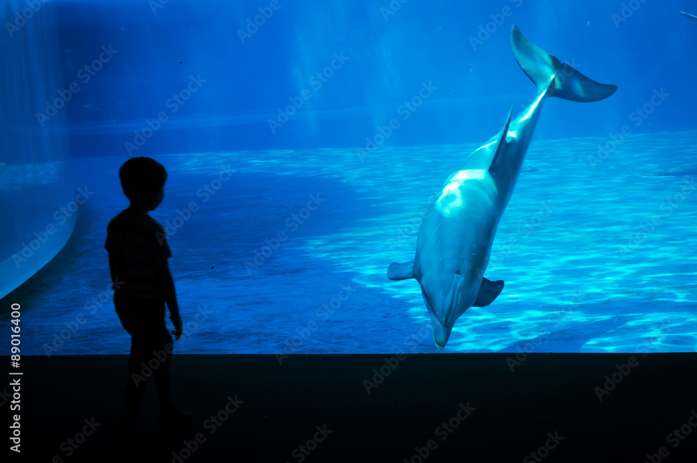 Obraz na płótnie Little boy in front of a dolphin w salonie