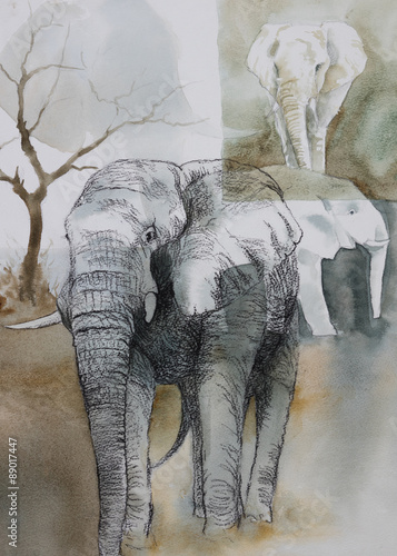 Obraz w ramie Original watercolour, collage of elephants in the wild.