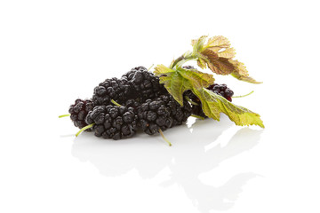 Wall Mural - Mulberry fruit.