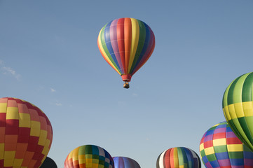 Wall Mural - Single hot-air balloon floating above a balloon festival