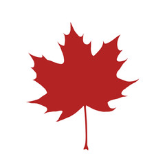 red organic and natural maple leaf flat icon for apps and websites
