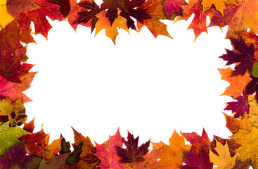 Wall Mural - Autumn leaves border on white background