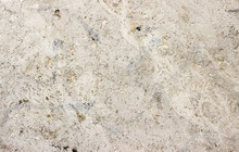 Background / Structure Of A Stone Slab Of Limestone