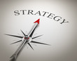 © Coloures-Pic - Compass / Strategy