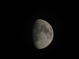 Wall Mural - gibbous moon