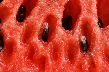 juicy fresh sliced watermelon