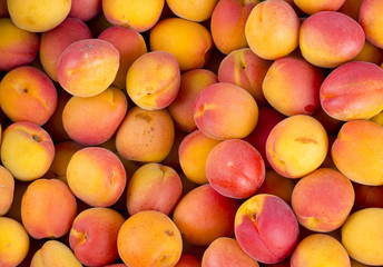 Poster - fresh apricots background