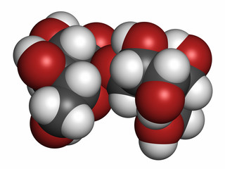 Poster - Trehalose (mycose, tremalose) sugar molecule. 