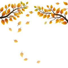 Wall Mural - autumn branches with falling leaves on white background