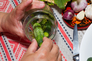 Pickling cucumbers, pickling - hands close-up, cucumber, herbs,