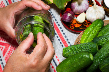 Wall Mural - Pickling cucumbers, pickling - hands close-up, cucumber, herbs,