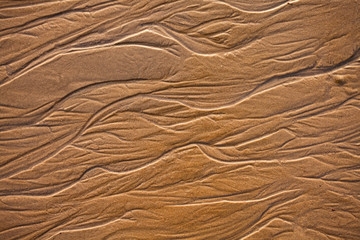 The texture of wet sea sand