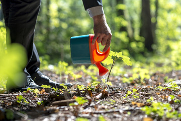 Wall Mural - Businessman in a suit watering a plant in woodland with a small plastic toy watering can in a conceptual image.
