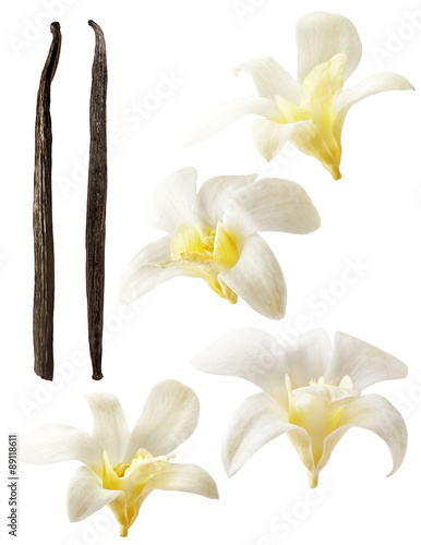 Fotografía Vanilla flowers aromatic, fresh vanila flower and stick on white background for ingredient label