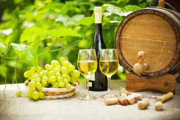 White wine and grapes 