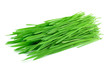 wheat grass isolated on white background