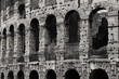 Colloseum circle in Roma during spring in BW