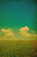 Wall Mural - green field