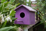 Fototapeta Krajobraz - Purple Wooden bird houses beside the river.