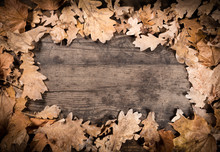 Wooden Background With Withered Leaves