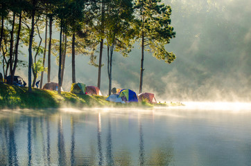 Wall Mural - morning in forest with camping in the mist