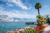 Fototapeta  - Flowers at Lake Garda
