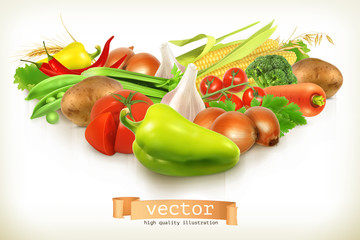 Wall Mural - Harvest juicy and ripe vegetables vector illustration isolated on white