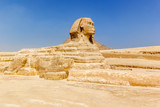 Fototapeta Nowy Jork -  Sphinx Giza Egypt