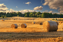 Haystacks On The Field. Summer, Rural Landscape.
