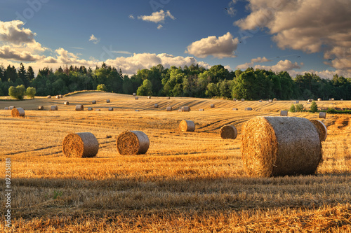 Naklejka dekoracyjna Haystacks on the field. Summer, rural landscape.