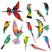 Birds-set Of Colorful Meropidae Birds Low Poly Design Isolated On White Background.Southern,Northern Carmine Bee Eater,Blue Tailed Bee Eater,Black, Green Bee Eater,White Fronted,Red Bearded Bee Eater.