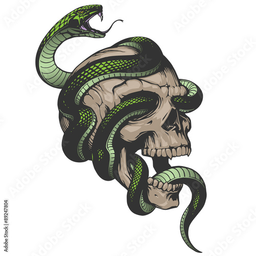 Skull with snake illustration