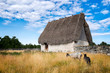 Old thatched roof barn and curly haired sheep native to Gotland, Sweden
