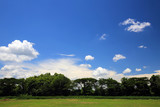 Fototapeta Na sufit - Glass field with blue sky and cloud