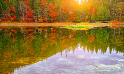 picturesque lake in the autumn forest