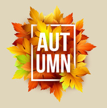 Autumn Typographic. Fall Leaf. Vector Illustration