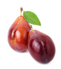 Canvas Print - Ripe plum on a white background.