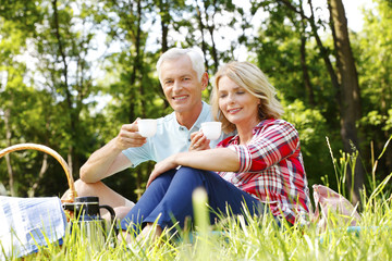 Canvas Print - Active senior couple