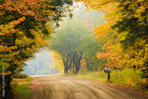Fotografie, Obraz Rural dirt road and mailbox on a foggy morning.