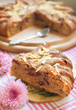 © sonatalitravel - Piece of homemade cake with berry.