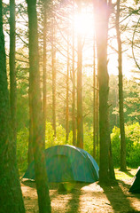tent in the forest between the trees at sunset