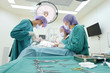 © nimon_t - group of veterinarian surgery in operation room