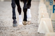 © 11afotografie - Closeup of horse hooves in gallop during a training with a white fence.