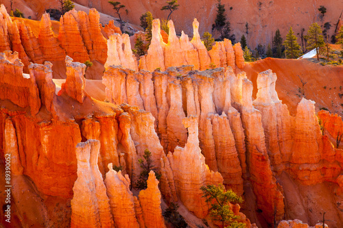 Fototapeta na szkło Bryce Canyon Hoodoo
