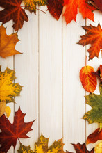 Autumn Leaf On Wood Background