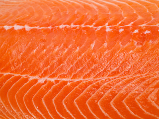 Sticker - Salmon Steak Background