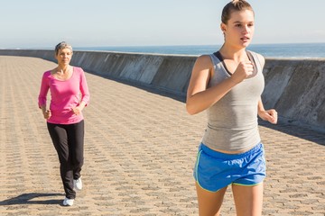 Wall Mural - Two sporty women jogging together