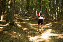 Trail Runner Training In Steep Uphill Terrain In The Forest